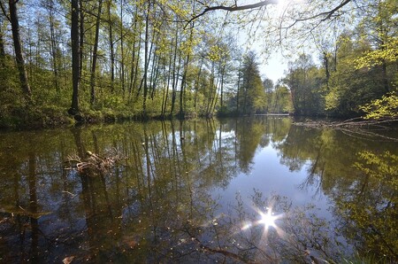 Tůně budou krásnější.