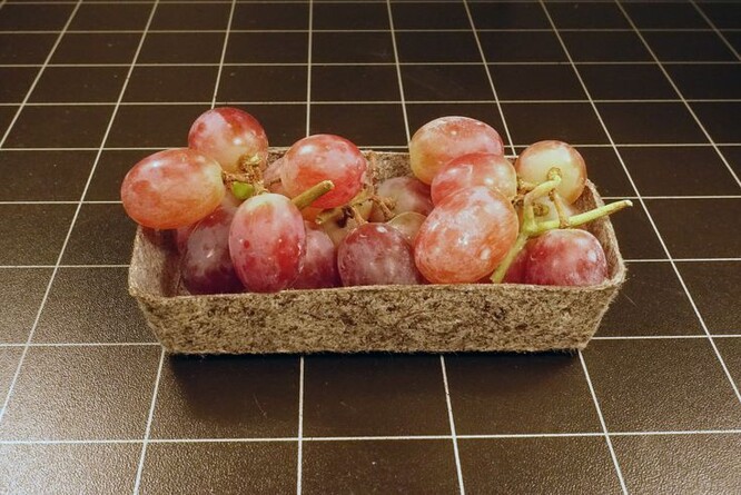 První vyrobené prototypy, tedy kompostovatelný obal určený pro ovoce či jednorázový příbor, jsou prý velmi slibné.