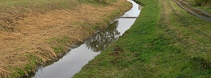 Říčka Trkmanka Foto: Packa Wikimeda Commons