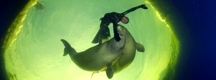 Foto: Born to be Free