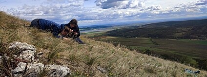 Botanici při práci v terénu v okolí Pálavských vrchů. Foto: Ústav botaniky a zoologie PřF MU