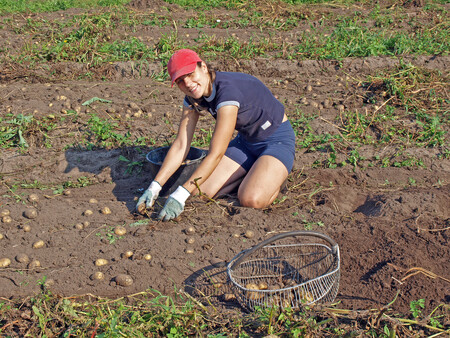Organizátoři akce v současnosti shání zemědělce, kteří ví, že obvykle nesklidí 100 % své úrody, a chtěli by se do projektu zapojit. Kromě farmářů se organizátorům mohou hlásit i dobrovolníci