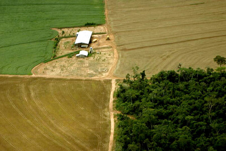 Studie ukazuje, že vláda byla schopná zřídit ochranná území i v místech, kde je snaha o kácení velmi silná