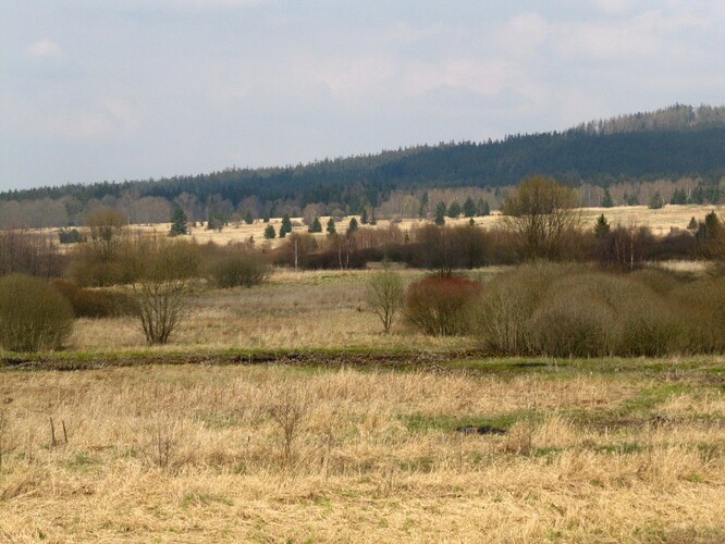 Důvodem je větší návštěvnost v souvislosti s pandemií koronaviru.