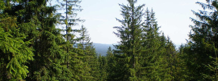 Foto: . Brdy-res publika / Wikimedia Common