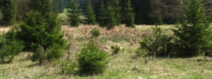 Foto: Zdeňka Vítková / Ekolist.cz