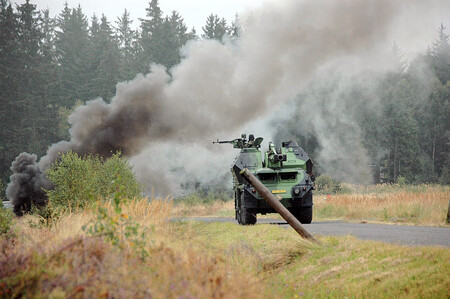 Dopadové plochy v bývalém vojenském prostoru Brdy, který je od Nového roku chráněnou krajinnou oblastí, jsou z přírodního hlediska velmi cennými lokalitami.