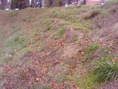 Vyjeté koleje v trávníku.