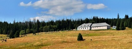 Pohled na Luzný a Luzenské údolí z Březníku, Modrava, okres Klatovy Foto: Harold / Wikimedia Commons