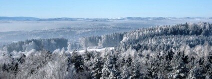 Lokalita Březový potok Foto: Chanovice