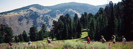 Turisté v Bridger-Teton National Forest Foto: GreenLight Designs (Jordan Green) Flickr