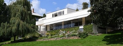 Vila Tugendhat, ještě s ikonickou vrbou Foto: Ben Skála Wikimedia Commons