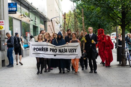 Smuteční průvod za naše lesy.