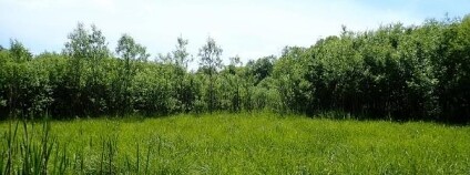 Foto: Archiv autorů