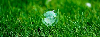 bublina v trávě Foto: Mike Haller Flickr