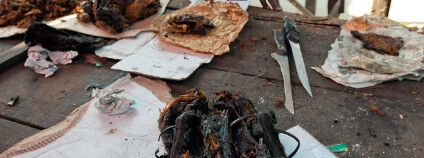 Bushmeat - maso z pralesa Foto: Sergey Uryadnikov / Shutterstock.com