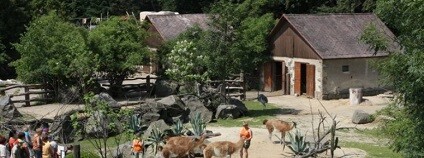 Zoo Jihlava Foto: zoojihlava.cz