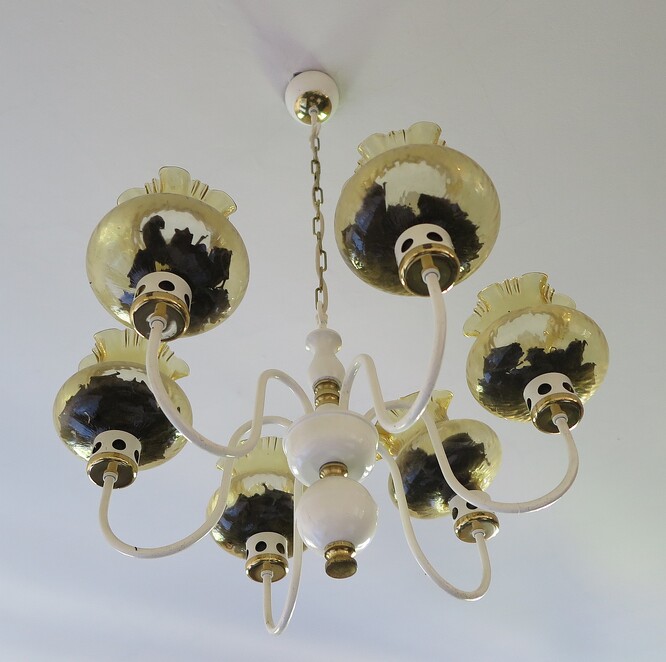 Výjezd k netopýrům uvězněným v lustru.