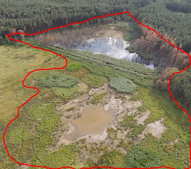 Vypuštěný mokřad po opakovaném prokopávání hráze a poškození lokality, foceno 28. 7. 2020.