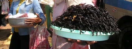 foto: Simon / Pixabay