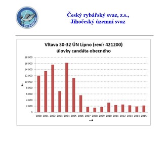 Úlovky candáta obecného.