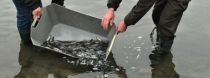 Foto: Město Jablonec nad Nisou