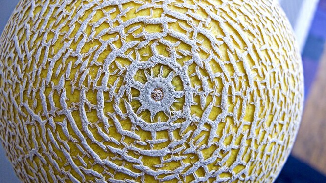 Společnost plánuje nabídnout zakoupené melouny zdarma na své internetové stránce. Rozdělí je mezi deset vybraných rodin s dětmi. Ilustrační foto