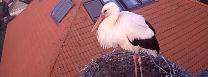 Foto: webcam ZŠ Osek