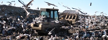 Foto: University of East Anglia