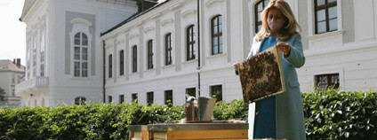 Foto:  Kancelár prezidentky SR