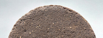 Čeští vědci vyvinuli pěnu z přírodní gumy a ligninu Foto: CARC – Národní centrum zemědělského a potravinářského výzkumu