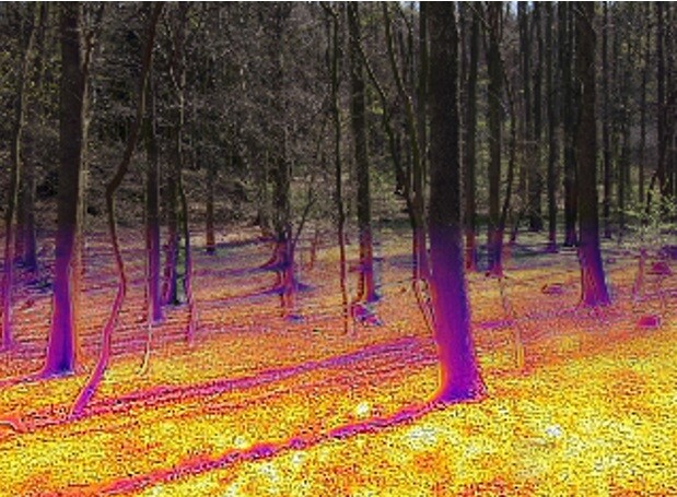 Teploty v lesním podrostu se mohou výrazně lišit od teplot měřených na meteorologických stanicích. Velkou prostorovou variabilitu teplot v podrostu výrazně ovlivňuje hustota lesního porostu (koláž infračervené a viditelné části spektra).