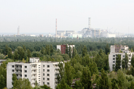 Vytí a štěkání přerušují ticho, které vládne kolem Černobylu. V zóně zasažené nejhorším civilním jaderným neštěstím v historii se potulní psi připravují na nový život ve Spojených státech. / Ilustrační foto Černobylu
