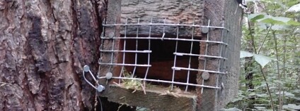 Foto: Karel Zvářal