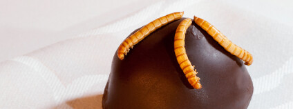 foto:  Dirk van t Hof / Shutterstock