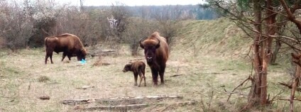 Foto: Pavel Prouza / Česká krajina