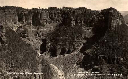 Pravčický důl v Českém Švýcarsku po mniškové kalamitě ve 20. letech minulého století. Řádky výsadeb jsou smrkové monoluktury dneška. (Po rozkliknutí uvidíte úplnou velikost)