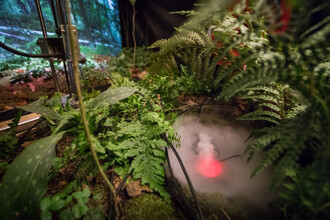 Návštěvník bude u vstupu do prostoru instalace instruován, aby se choval tiše… ale jaká bude realita, ukáže až samotný provoz.