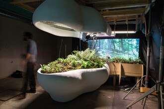 Snažíme se ukázat nejtypičtější vzorek českého lesa, a tak nám jako referenční vzorek posloužila hercynská dubohabřina.