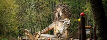 Cesta vody v Bělském lese Foto: Lukáš Kaboň / Magistrát města Ostravy