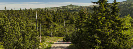 foto: Kamila Antošová / KRNAP