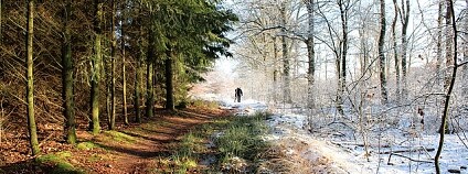 Foto: Luke Price / Flickr