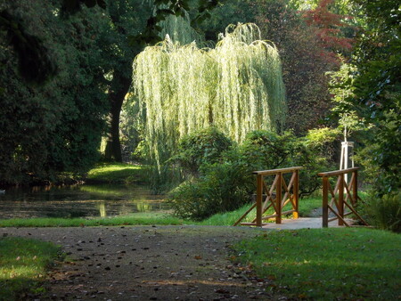 Chářovský park, který je kulturní památkou, založil v roce 1899 okrašlovací spolek jako sbírkový objekt. Má rozlohu 2,2 hektaru a rostou v něm zajímavé taxony dřevin, zejména jehličnaté. Jeho druhová bohatost v důsledku opožděných pěstebních zásahů, nevhodných dosadeb v 70. letech 20. století, ale především vlivem záplav v roce 1995 a 1997, silně utrpěla.