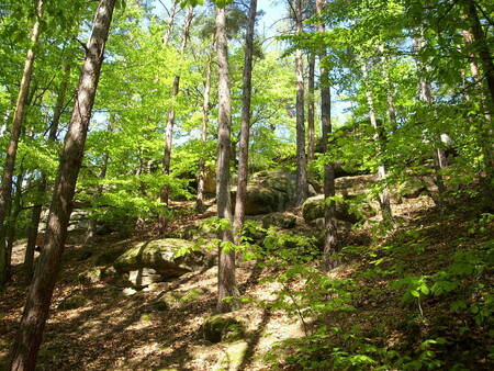 Se dvěma požáry lesa v Chráněné krajinné oblasti Kokořínsko bojovali včera hasiči. / Ilustrační foto CHKO Kokořínsko