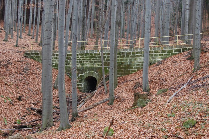 bukový les na střední Moravě