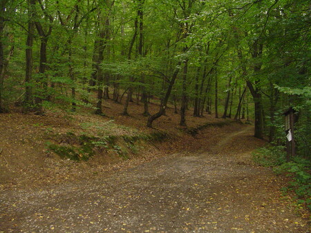 Přírodní rezervace Chuchelský háj se rozroste zhruba na dvojnásobnou rozlohu. / Ilustrační foto
