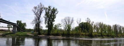 Lesy hl. m. Prahy se pustí do výsadby stromů, které nahradí dřeviny pokácené při přestavbě a rozšíření Ústřední čistírny odpadních vod na Císařském ostrově (na snímku).