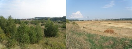 Společnost zničila biotopy zvláště chráněných druhů živočichů. Dostala pokutu sto tisíc korun Foto: ČIŽP