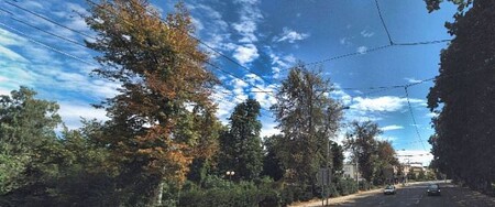 Zlínská radnice rozhodla o pokácení lip mezi tržištěm a hlavní silnicí I/49 v centru města.