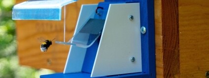 foto: O. Hruška / Zoologická zahrada Ostrava